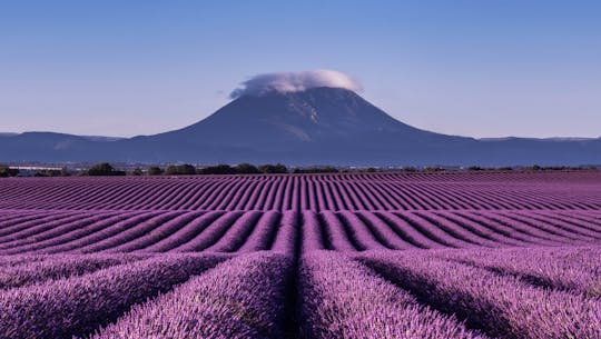 Tour della lavanda a Valensole da Marsiglia