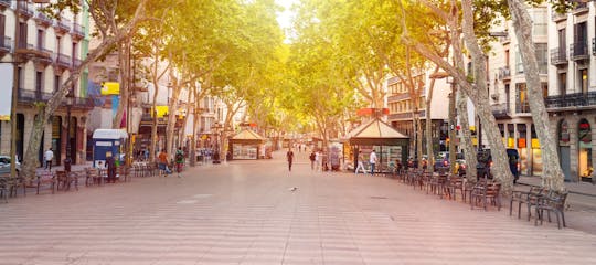 Tour privato del quartiere gotico di Barcellona e visita facoltativa del Museo Picasso