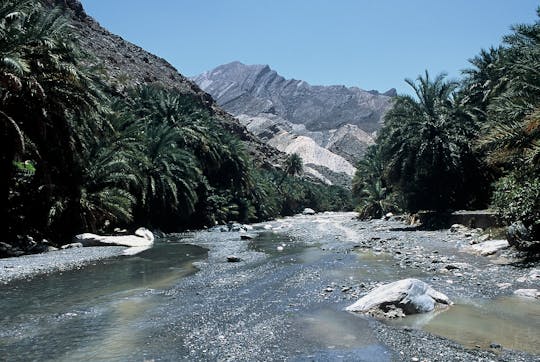 Visite privée en 4x4 du White Wadi et du Nakhl