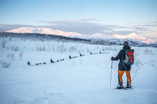Guided snowshoe hike