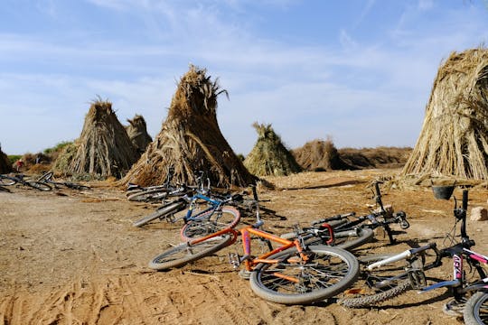 Marrakech Palmeraie Fahrradtour