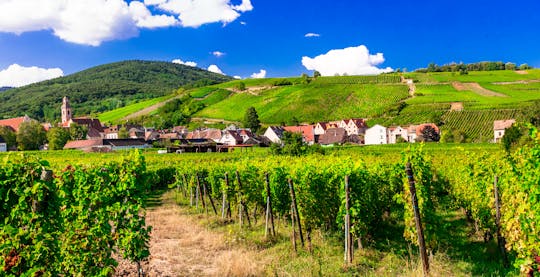 Alsace villages half day trip from Strasbourg
