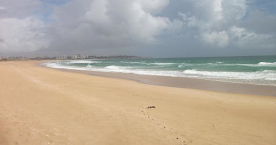 Vogelbeobachtungstour durch die Lagune von Abicada und die Dünen von Alvor