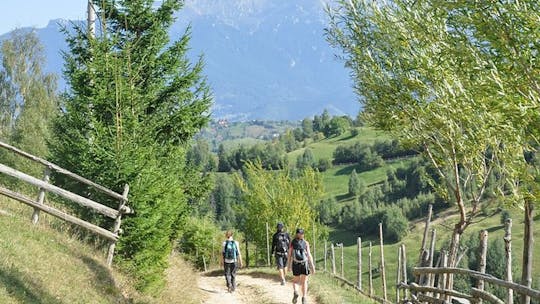 Piatra Craiului National Park privéwandeltocht vanuit Brasov