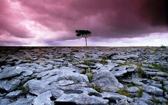 Cliffs of Moher and the Burren tour from Galway City