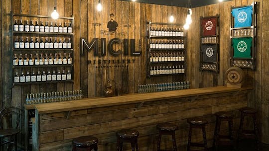 Traditional Irish poitin and gin distillery tour from Galway