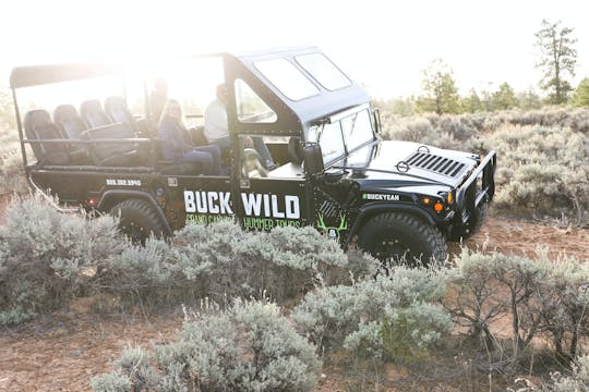 Voo de helicóptero pela margem sul e passeio de Hummer