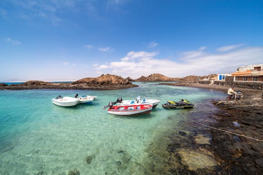 Insel Lobos Fährticket mit Transfer