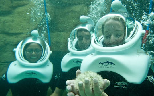 SeaVenture no Discovery Cove 2025