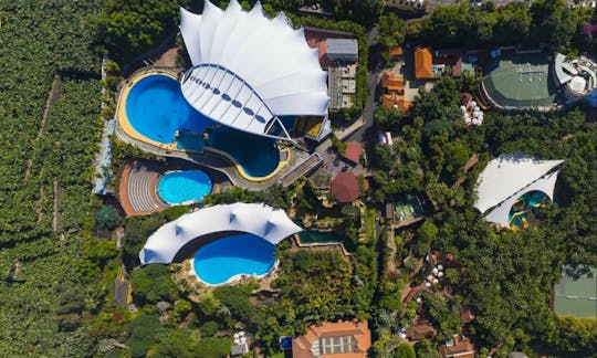 Eintrittskarten für den Loro Parque auf Teneriffa