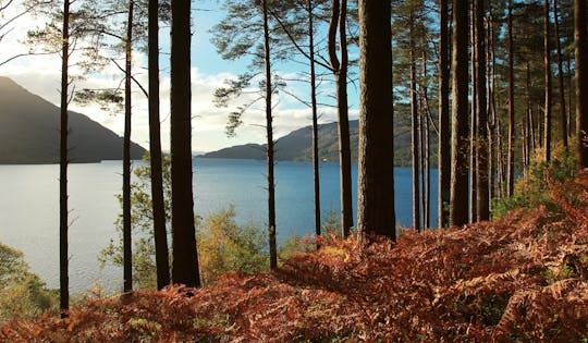 Loch Lomond i whisky – jednodniowa wycieczka w małej grupie z Glasgow