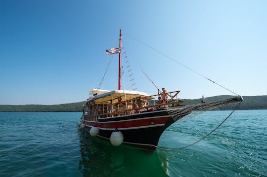 2-hour dolphins and panorama sailing experience from Poreč