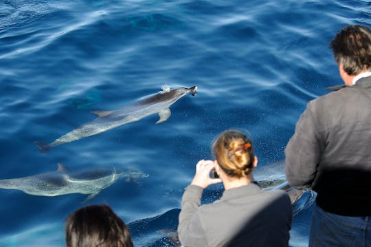 Gran Canaria Spirit of the Sea dolfijnsafari