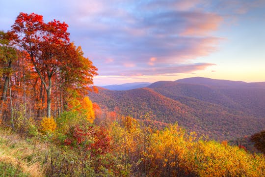 Tour audioguidato del Parco nazionale di Shenandoah