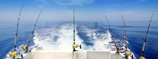 Half-Day Fishing Boat Experience From Puerto Colon Tenerife