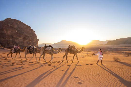 Full-day private tour to Wadi Rum from Amman