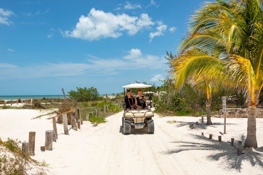 Visite privée : L'île de Holbox en bateau et buggy, Mexique