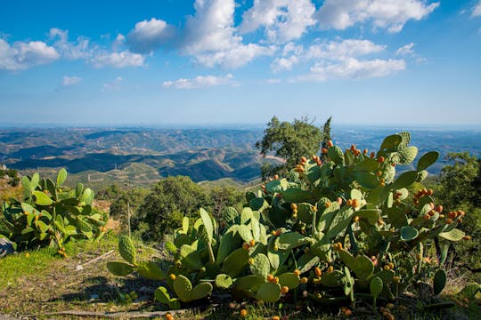Całodniowy rejs do Fóia, Lagos i Cabo de São Vicente z Monte Gordo