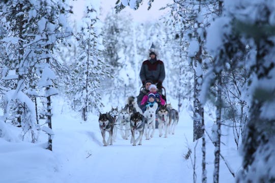 10 km Self-Driven Husky Sled Adventure in Rovaniemi
