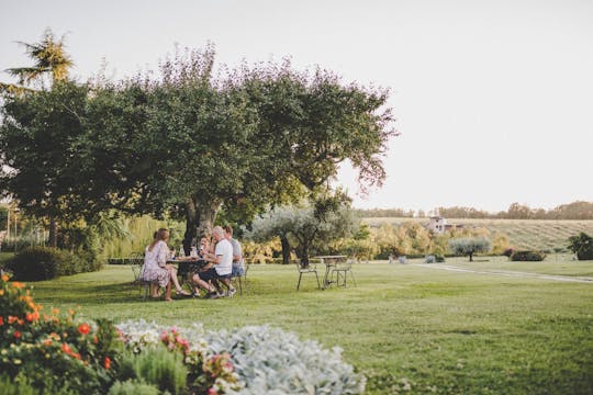 Geführter Spaziergang durch einen authentischen istrischen Familienbauernhof mit Essen und Wein