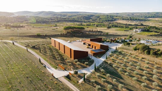 Halbtägiges Erlebnis in einer Olivenölmühle auf den Terrassen von Larzac