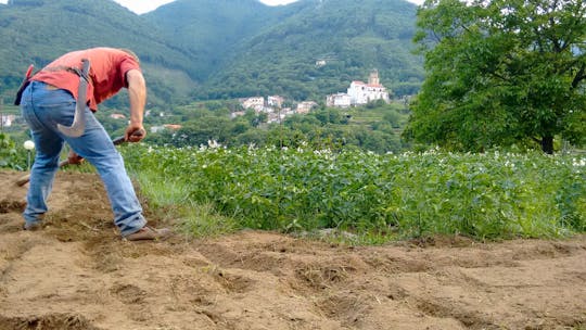 Nat Geo Day Tour: A Taste of Tramonti and pizza-making experience.