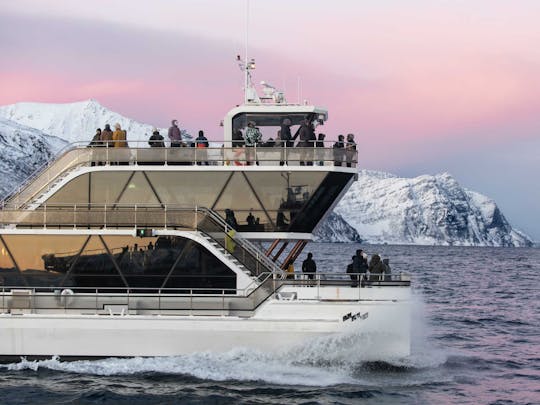 Tromsø fjord and wildlife cruise