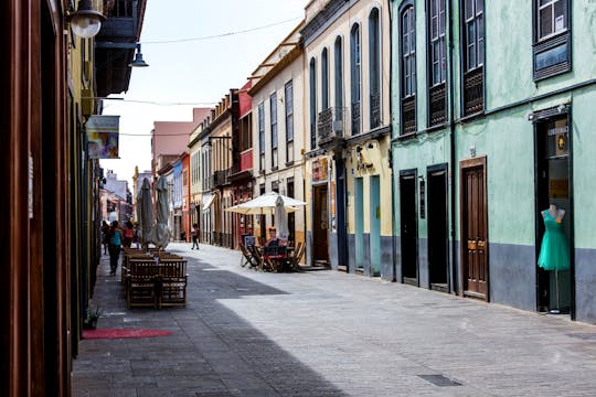 Full-Day Tenerife Tour with La Laguna and Lunch