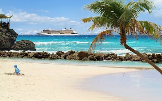 Bimini Day Cruise with Transportation from Miami Beach