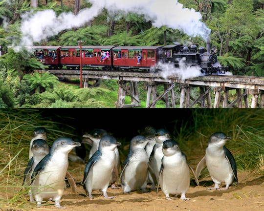 Puffing Billy and Phillip Island Penguin Parade Bus Tour