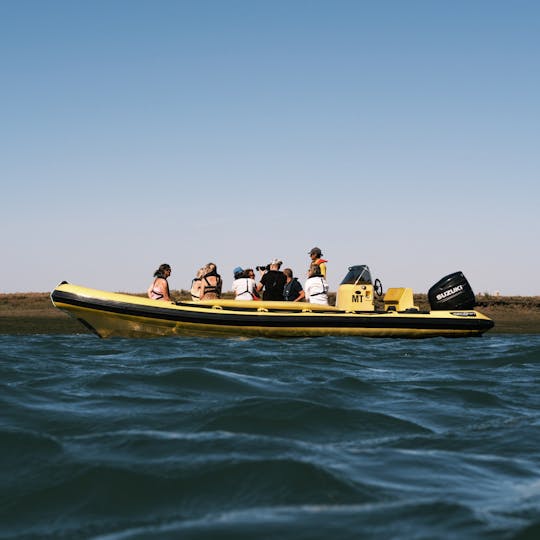 Wycieczka łodzią ekologiczną Ria Formosa z przewodnikiem z biologiem morskim
