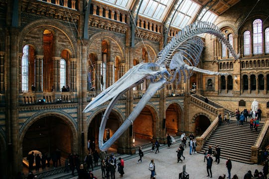 Museu de História Natural de Londres com entrada reservada e tour de áudio