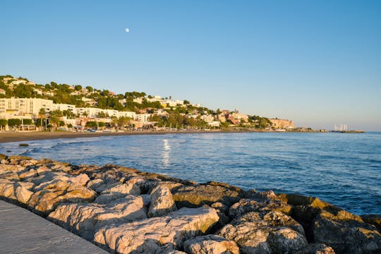 Guided tour of Malaga’s fishing scene with cooking workshop