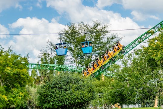 Busch Gardens® Tampa Bay 1-day admission tickets