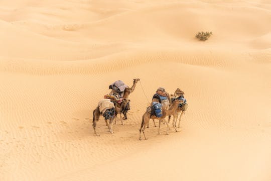 2-day desert tour from Tunis, Sousse or Hammamet
